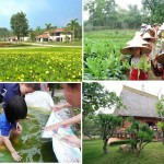 Đất vườn Long An trong “tầm ngắm” các Đại gia Sài Gòn